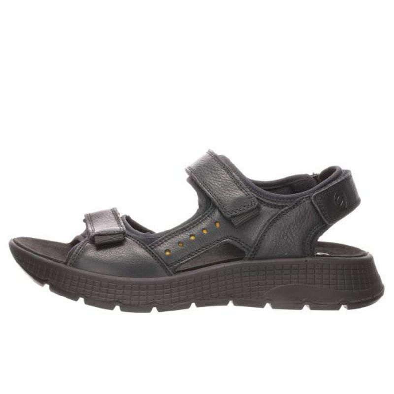 Ara Elio Black